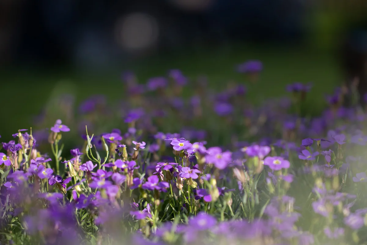 What Is Rehab Therapy?