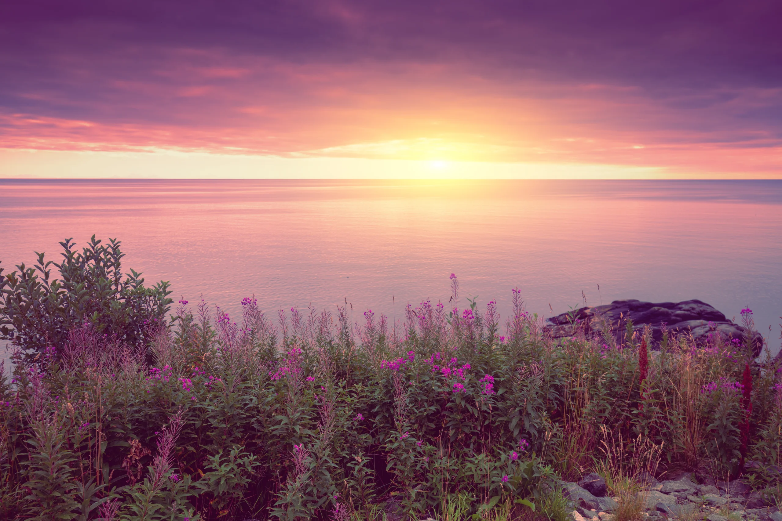 Does Medicaid Cover Drug & Alcohol Rehab in Colorado?