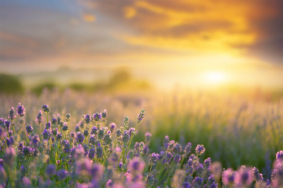 Opioid Withdrawal Symptoms: Signs You Need Medical Detox